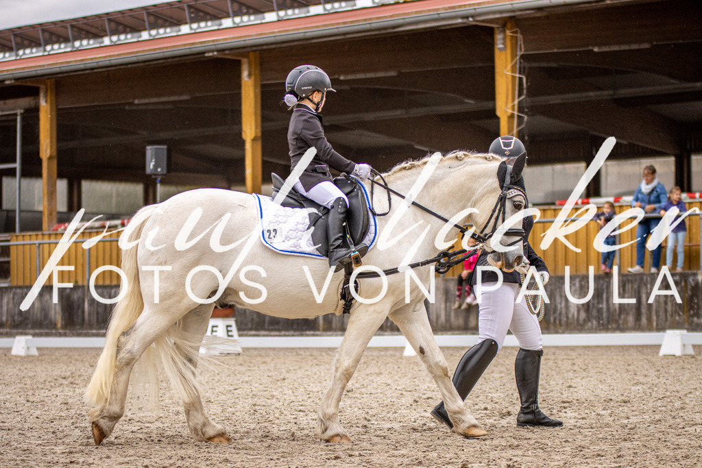 IMG_4011 | Erleben Sie dynamische Sport- und emotionale Tierfotografie in Süddeutschland mit Fotos von Paula. Spezialisiert auf Pferde- und Hundefotografie sowie Sportevents. Kontaktieren Sie mich für einzigartige und ausdrucksstarke Bilder Ihrer besonderen Momente. - Realisiert mit Pictrs.com
