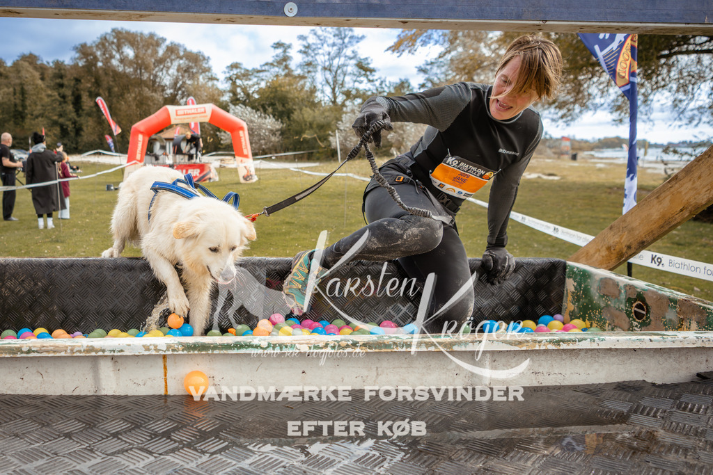 1345_ZZ92117-2 | kk-dogfotos