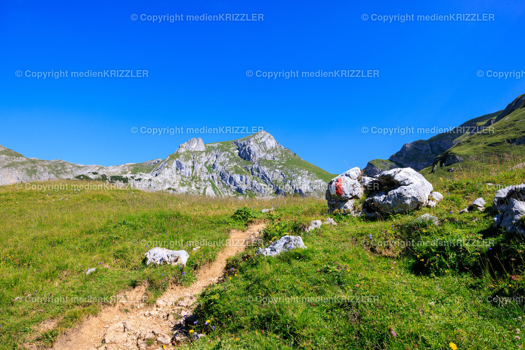 _J3A8209 | medienkrizzler - Realisiert mit Pictrs.com