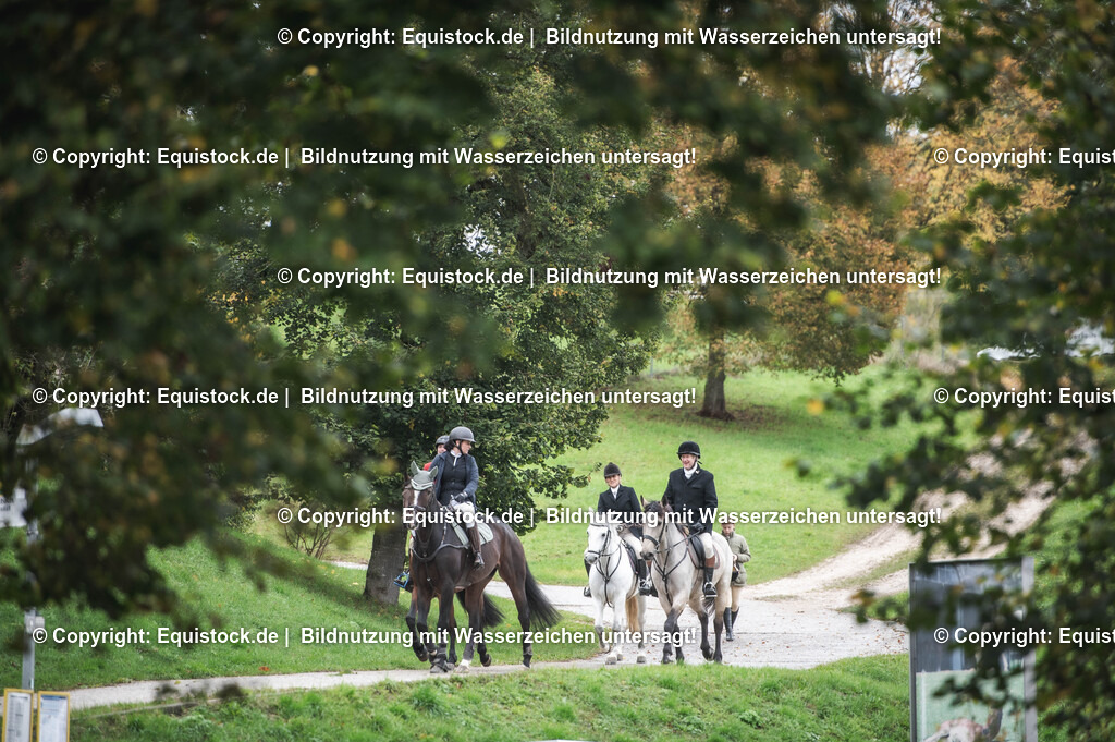 20241013_Jagd-Marbach_0080 | Foto: Thomas Hartig