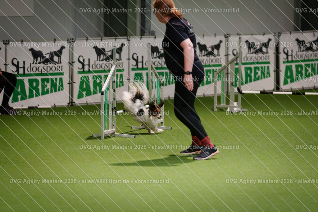 allesWIRTHgut_Tierfotografie-DVG_Agility_Masters_2026-08_30-7R508213 | Professionelle Tierfotografie in Mönchengladbach von Daniel Wirth (allesWIRTHgut). Liebevolle & natürliche Bilder von Hunden & Katzen für unvergessliche Erinnerungen.