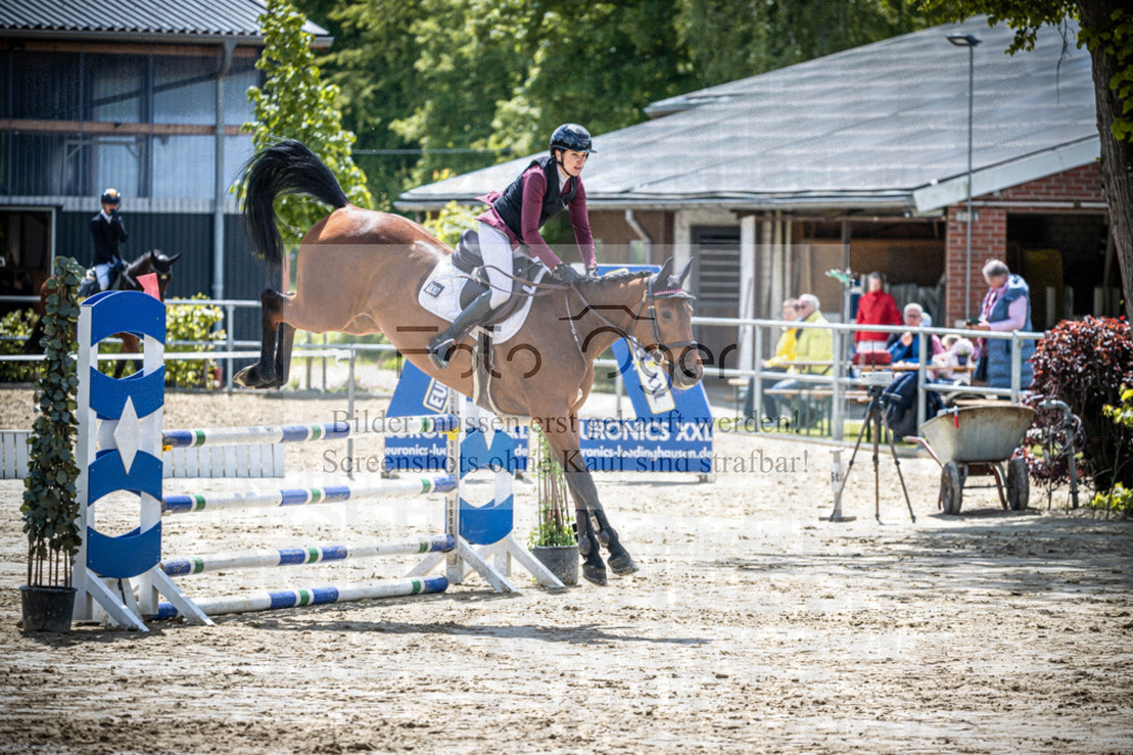 DOS_1669 | Reitturnier Lüdinghausen - Realisiert mit Pictrs.com