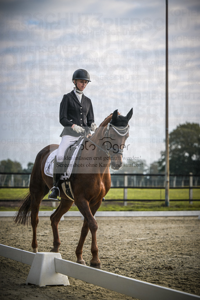 DOS_B110 | Entdecke hochwertige Reitturnierfotos von Foto Oger. Professionell, emotional und authentisch – jetzt Lieblingsmomente im Shop bestellen.Deutschlandweite Turnierfotografie. - Realisiert mit Pictrs.com