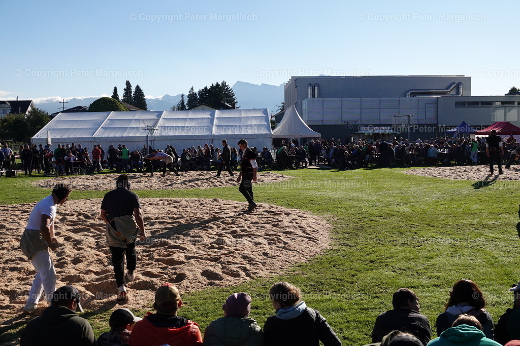 DSC01954 | Schwingen - Realisiert mit Pictrs.com