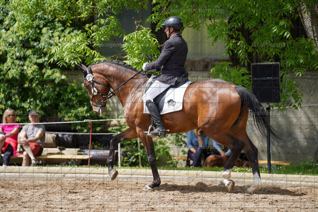 20240519-FAH05203 | Turnierbilder Niederseeon 2024, Vielseitigkeitsdressur, Reitsportbilder aus dem Landkreit Ebersberg, Gut Steinsee, RC Steinsee, Fotoagentur Herrmann