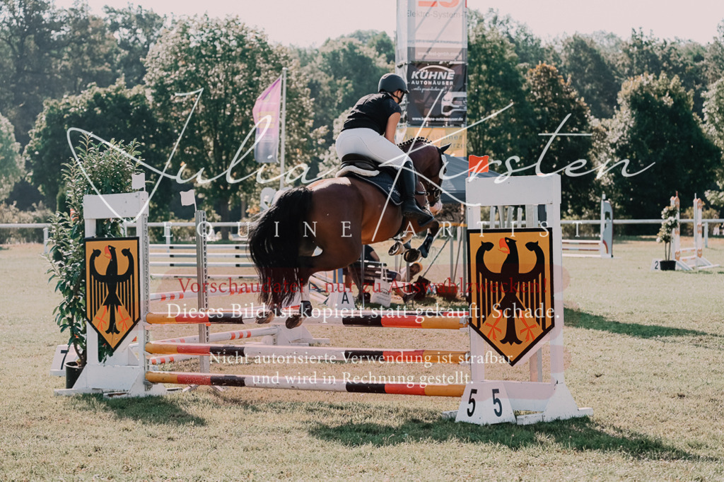 DSC_4741 | Pferde- und Turnierfotografie in Westsachsen. Pferdeportraits, Auftragszeichnungen und intuitive Kunst.