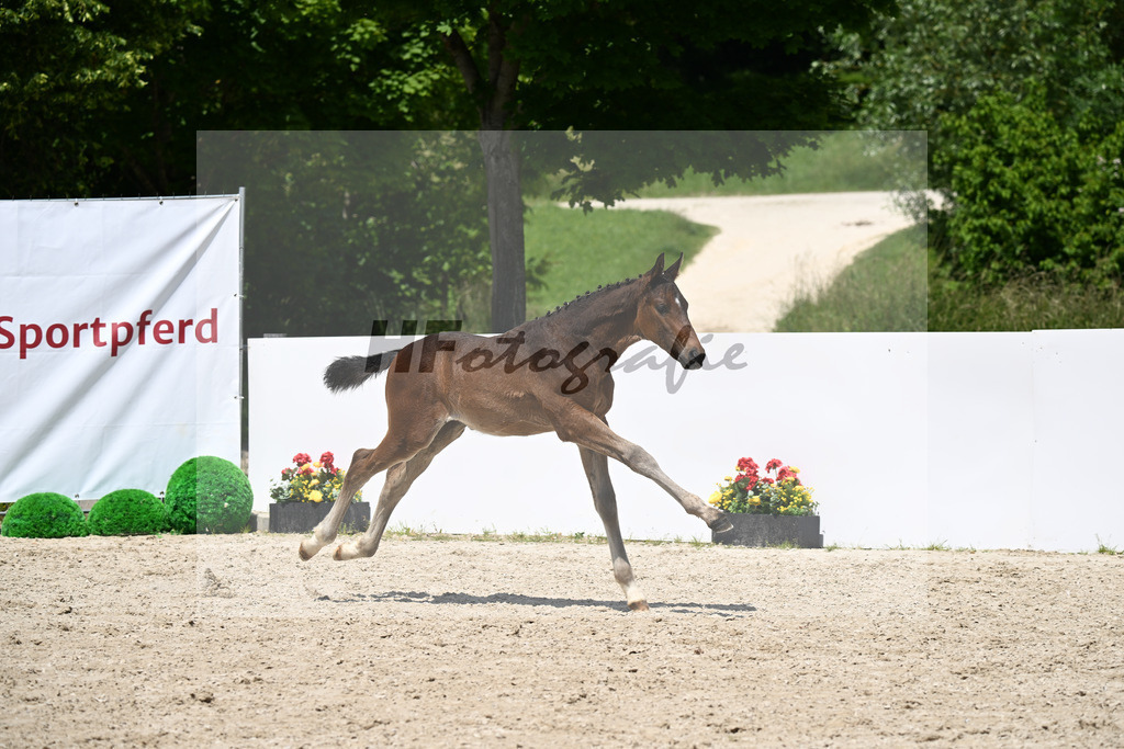 Untouchabel x Clarimo_HF_Waimer_13251098 | hf-fotografie - Realizzato con Pictrs.com