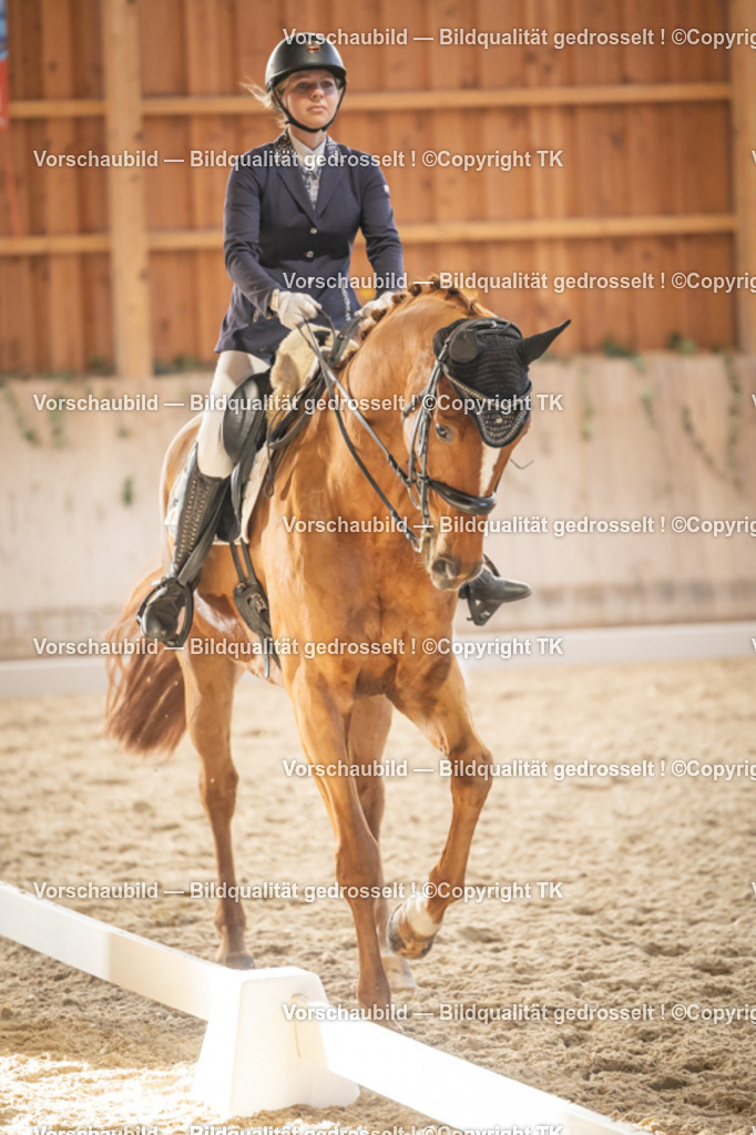 _D5A3274 | Emotionale Pferde- & People-Fotografie rund um Heidelberg, Leimen & Umgebung. Natürliche Fotos von Pferd, Mensch & Familie. Jetzt Termin sichern!