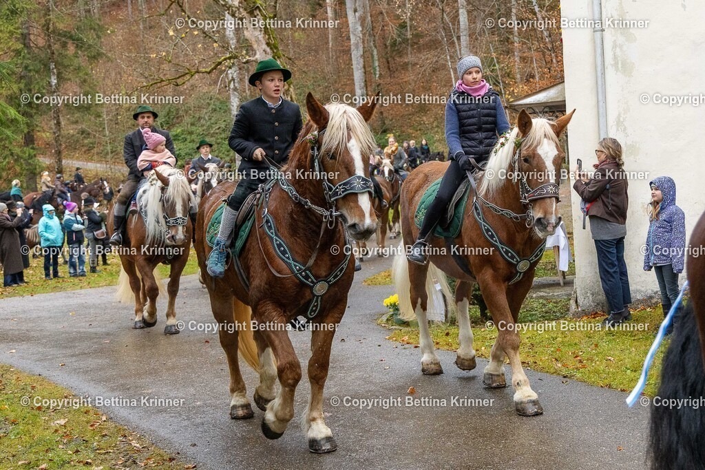 LL25-219 | foto-bettina-krinner - Realisiert mit Pictrs.com