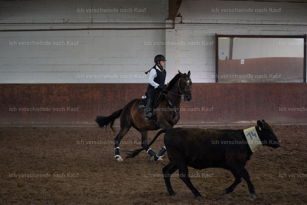 WL_COW_58_SinaFilmArt_IN03867 | working equitationturnier fotograf videograf stoibphotography marixx film working equitation deutschland reitsport turnierfotografie eventfotografie equestrian events