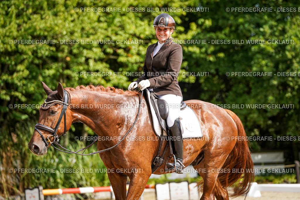 DSC07404 | Pferdegrafie