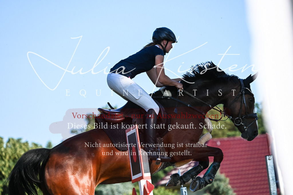 DSC_3115 | Pferde- und Turnierfotografie in Westsachsen. Pferdeportraits, Auftragszeichnungen und intuitive Kunst.
