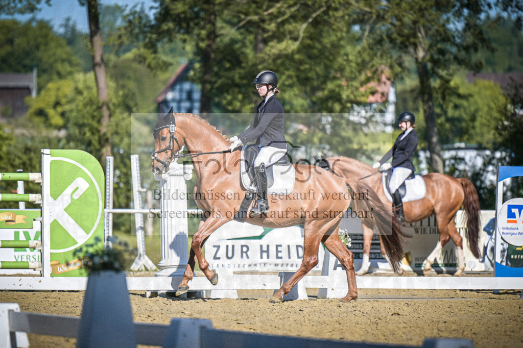 DOS_5443 | Entdecke hochwertige Reitturnierfotos von Foto Oger. Professionell, emotional und authentisch – jetzt Lieblingsmomente im Shop bestellen.Deutschlandweite Turnierfotografie. - Realisiert mit Pictrs.com