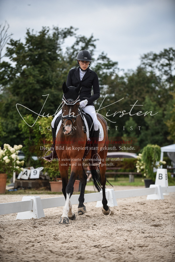 DSC_8556 | Pferde- und Turnierfotografie in Westsachsen. Pferdeportraits, Auftragszeichnungen und intuitive Kunst.