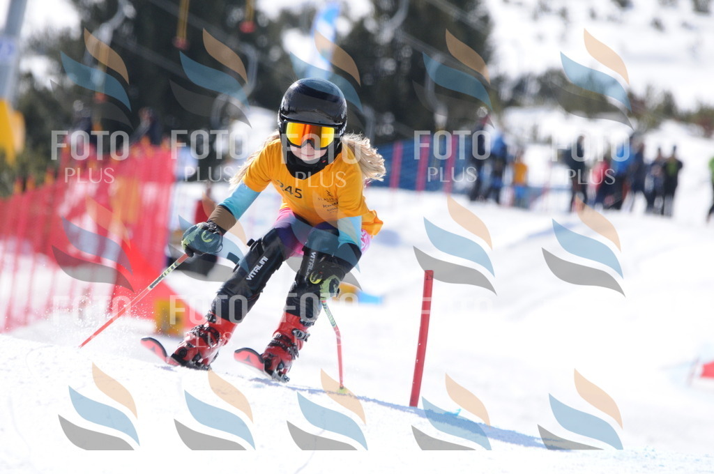 C8824 | holidayphoto