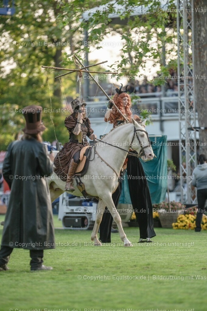20230526_Pferdenacht_0287 | equistock