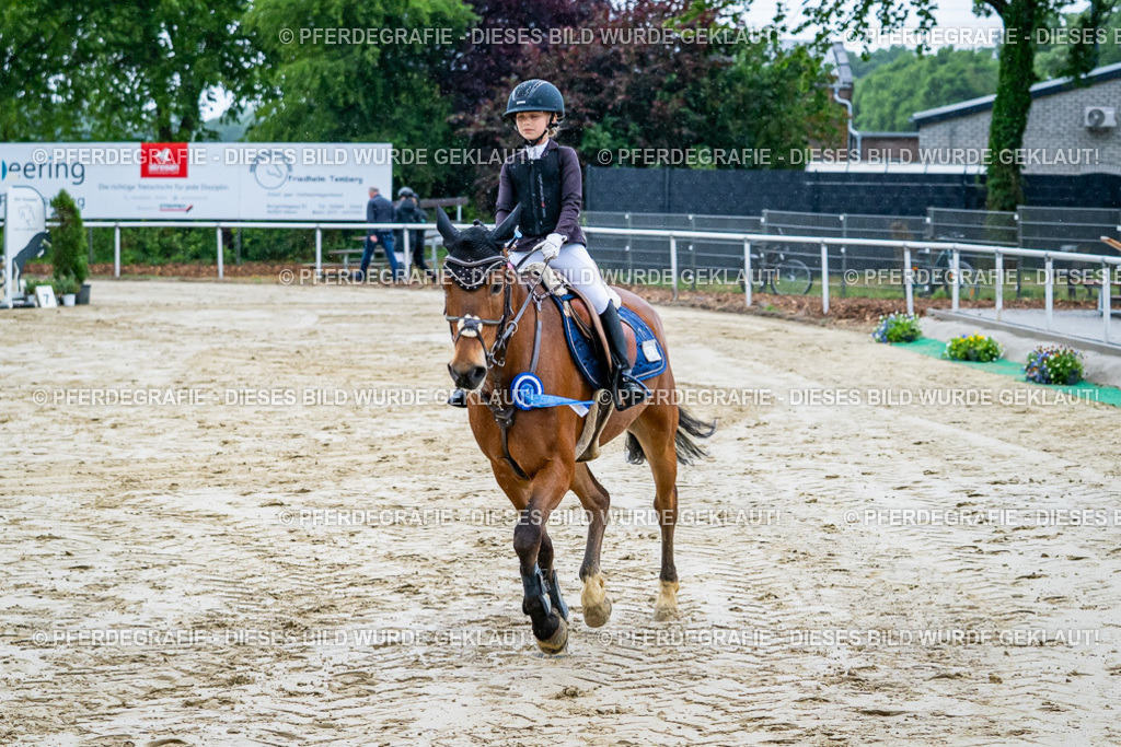 DSC01538 | Pferdegrafie