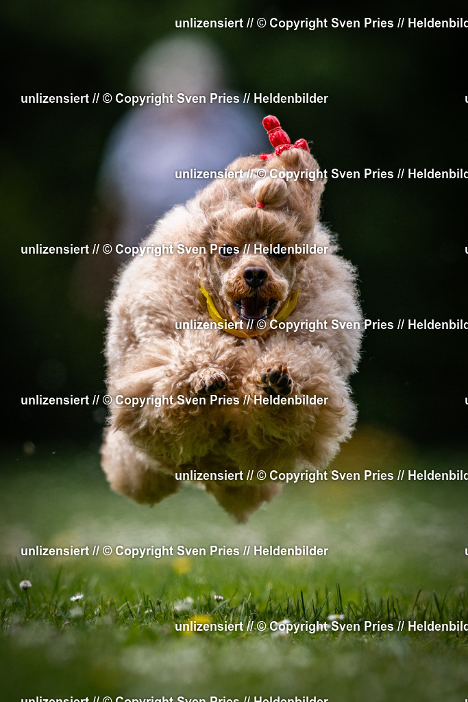 Sven Pries | 2025-05-29 - Pudelrennen KA-Durlach - Realisiert mit Pictrs.com