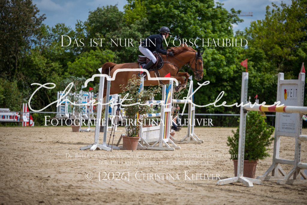 DSC_4298-2 | Christina-Kleuver
