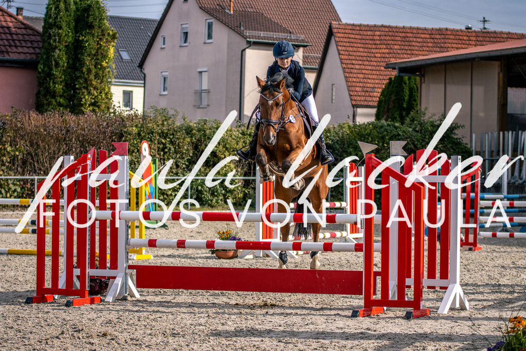 IMG_5803 | Erleben Sie dynamische Sport- und emotionale Tierfotografie in Süddeutschland mit Fotos von Paula. Spezialisiert auf Pferde- und Hundefotografie sowie Sportevents. Kontaktieren Sie mich für einzigartige und ausdrucksstarke Bilder Ihrer besonderen Momente. - Realisiert mit Pictrs.com