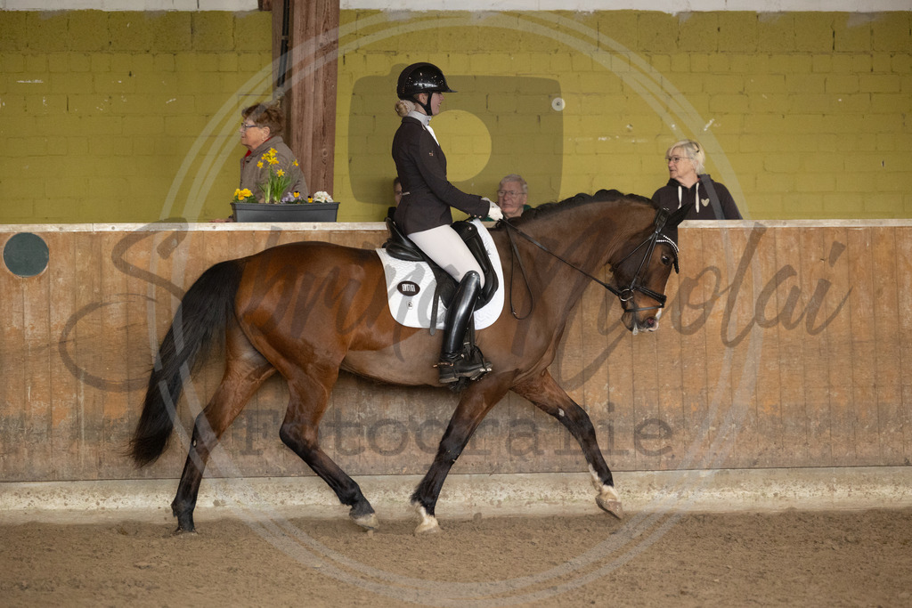 994A8962 | sabrinanicolaifotografie - Realisiert mit Pictrs.com