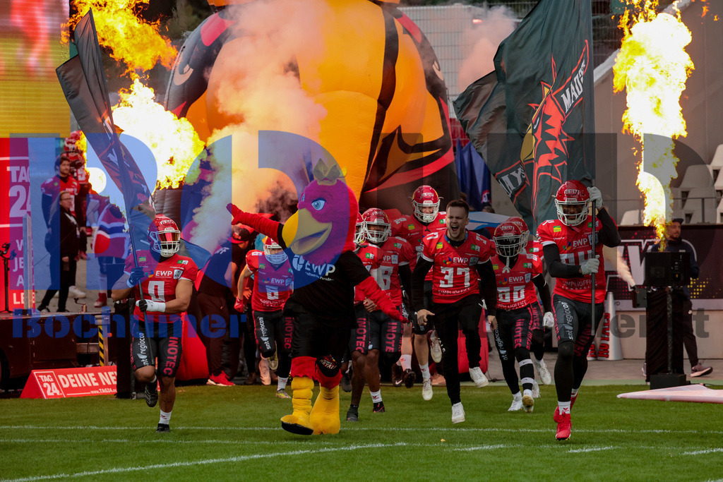  14.10.2023 - 
 | Sebastian Sendlak / Bochumer Nachrichtendienst (BOND) - GFL-Bowl 2023: Schwaebisch Hall Unicorns vs. Potsdam Royals - Realisiert mit Pictrs.com