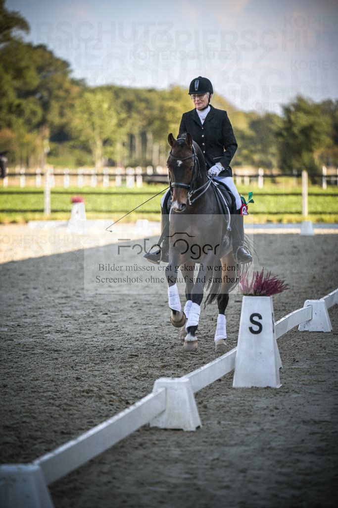 DOS_0159 | Entdecke hochwertige Reitturnierfotos von Foto Oger. Professionell, emotional und authentisch – jetzt Lieblingsmomente im Shop bestellen.Deutschlandweite Turnierfotografie. - Realisiert mit Pictrs.com