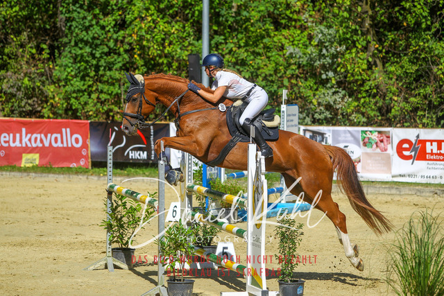 DKP43309 | Turnierfotos kaufen im Webshop von Daniel Kuhl Photography – entdecke professionelle Reitsportfotos aus Turnieren & Events. Hochwertige Turnierbilder online bestellen & sichern. Jetzt Fotos von Reitsportturnieren kaufen!