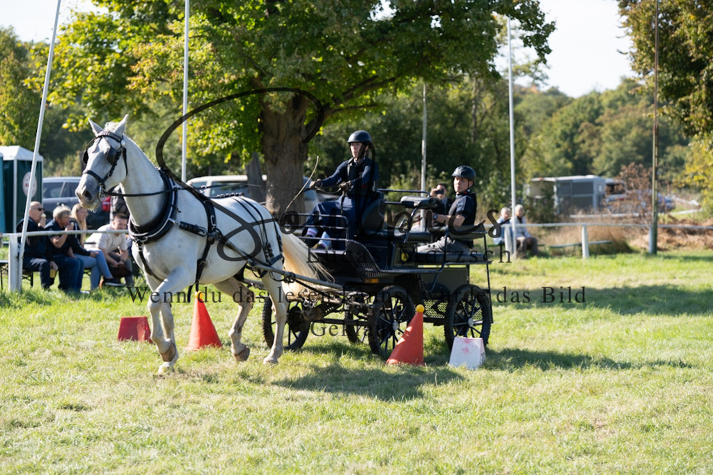 A7V04331 | Pferdefotograf