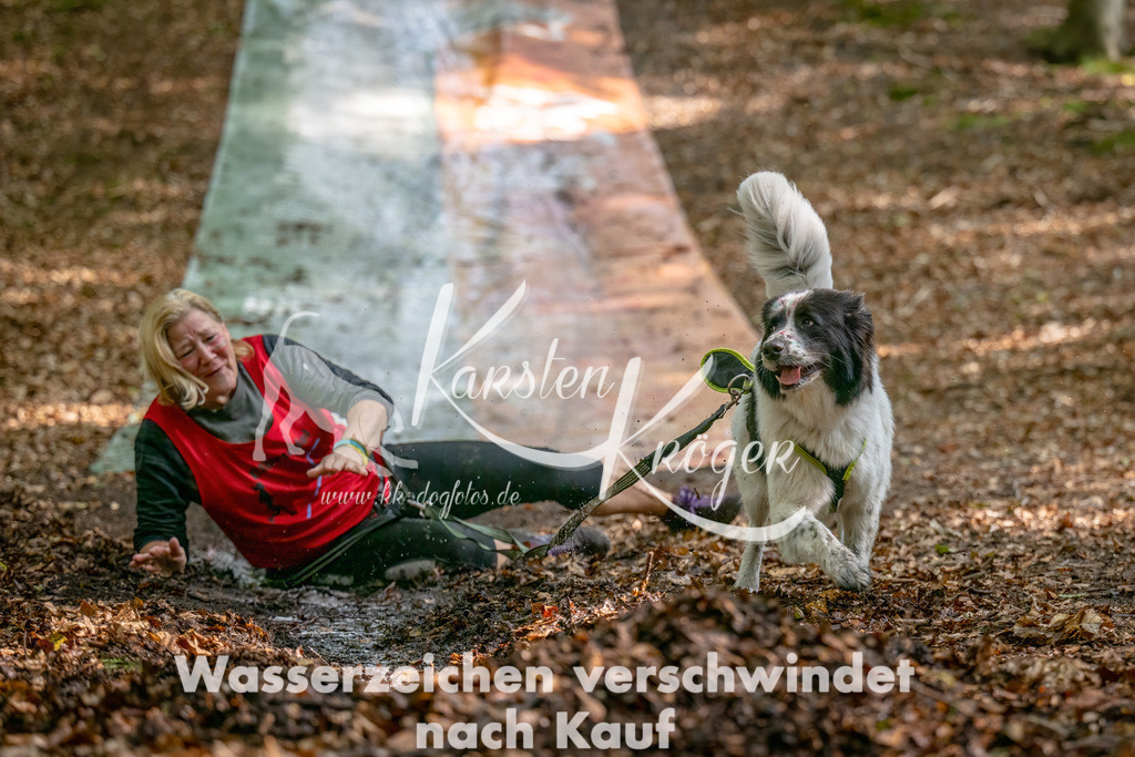 1226_ZZ90128-Bearbeitet | kk-dogfotos