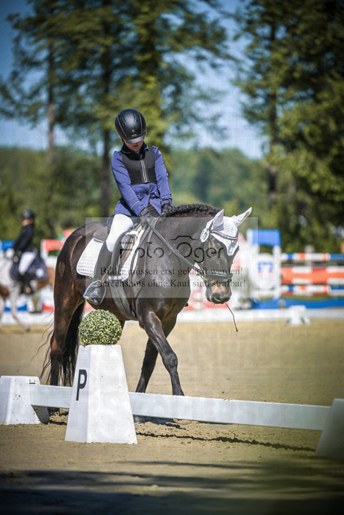 DOS_7618 | Entdecke hochwertige Reitturnierfotos von Foto Oger. Professionell, emotional und authentisch – jetzt Lieblingsmomente im Shop bestellen. - Realisiert mit Pictrs.com