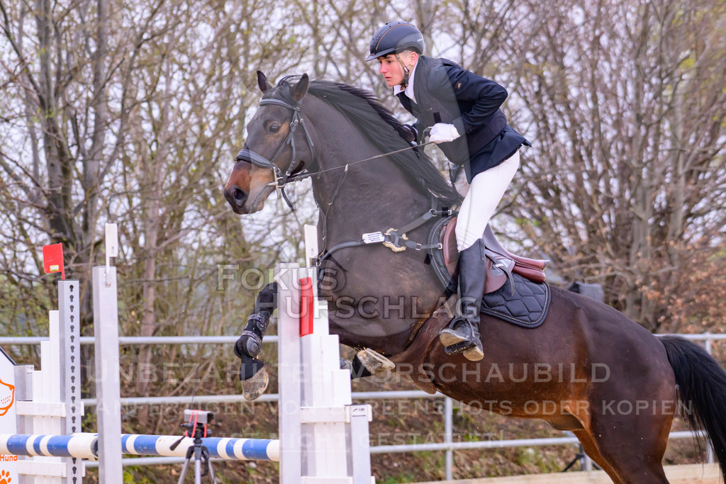 10042026-Mammendorf-Prfg17-0760 | Fokus Hufschlag Fotografie - Realisiert mit Pictrs.com