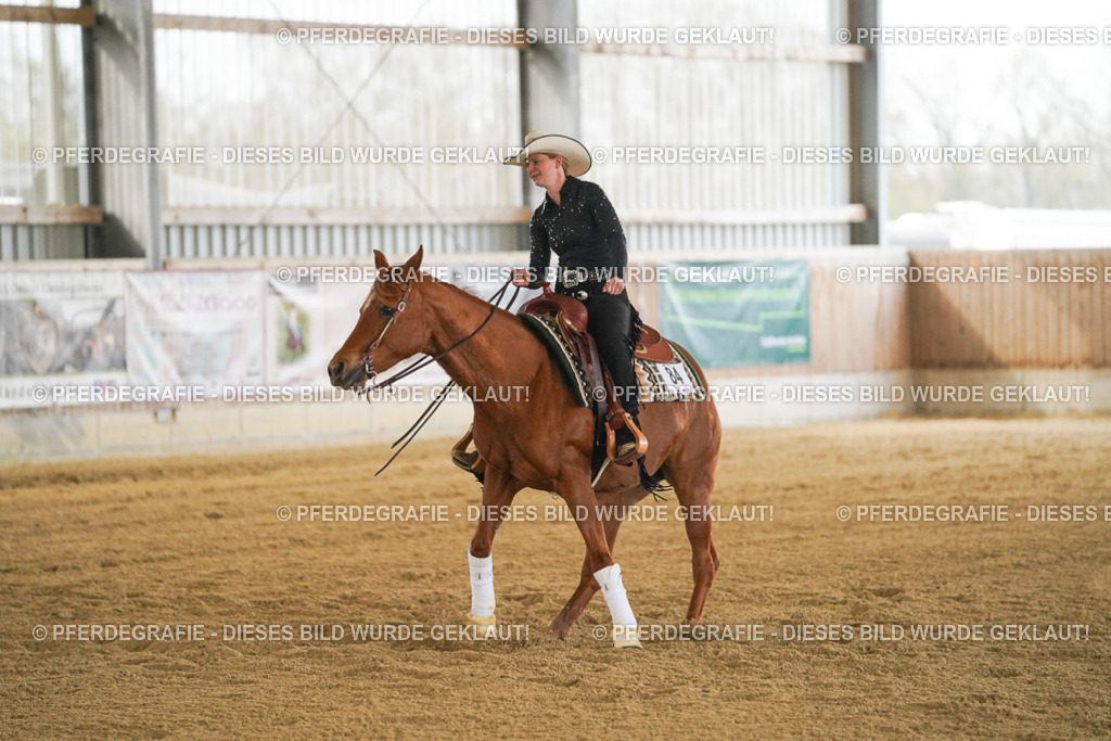 DSC08067 | Pferdegrafie