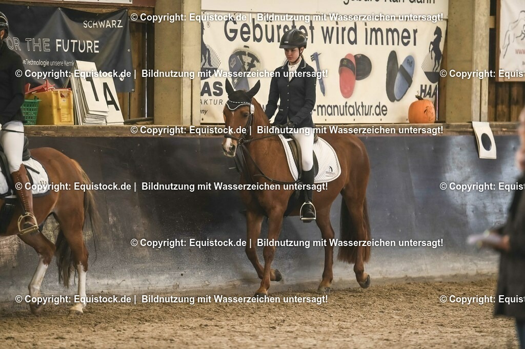 03_Reiter-WB_0010 | Foto: Thomas Hartig