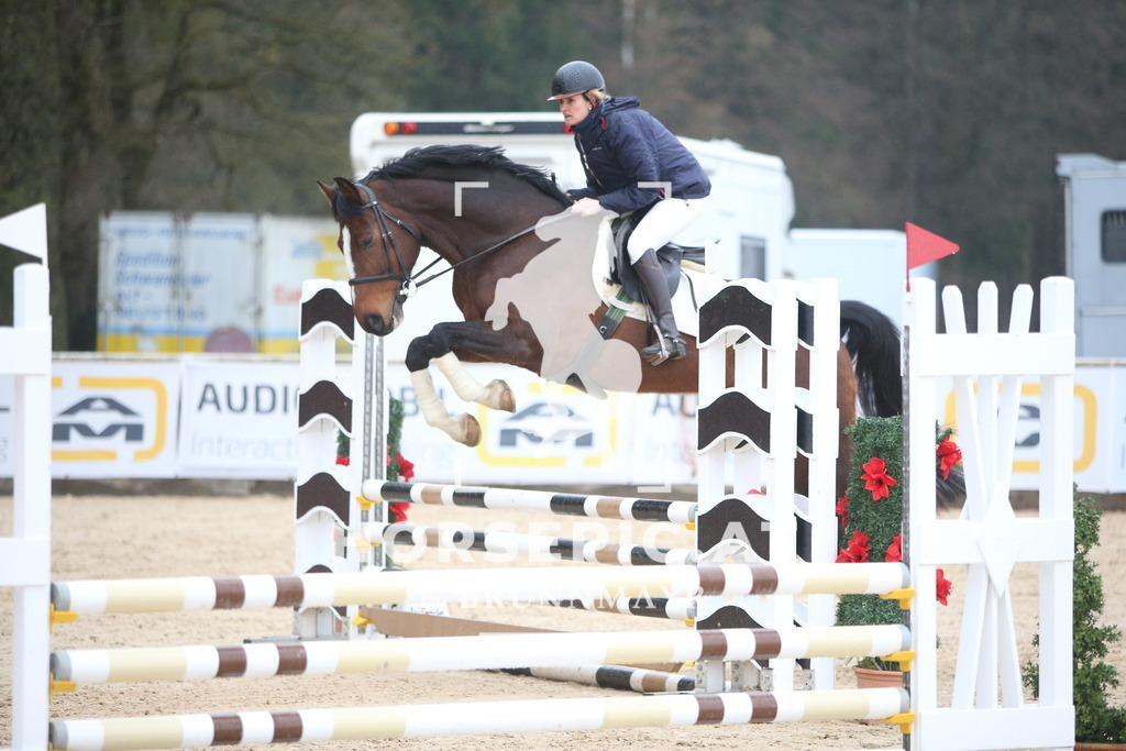 AS8V1789 | Willkommen bei Brunnmayr - Design & Fotografie – Ihrem Spezialisten für Reitturniere und Pferdeveranstaltungen in Oberösterreich, Salzburg und Bayern! Seit über 17 Jahren sind wir leidenschaftlich dabei.