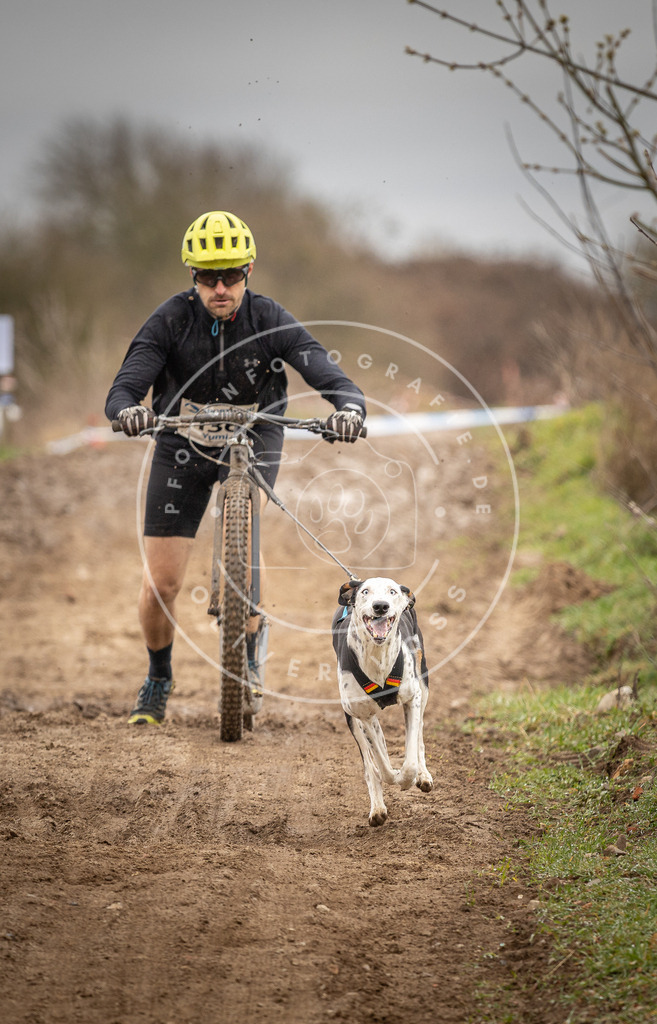 DV3A1314 | Hundefotografie, Tierfotograf, Pfotenfotografie, Fotoshooting Hund, Hunde Portrait, Hundesport, Hundeportraits, Heideshooting, Hunde, Sportfotograf, Hundefotograf, Turnierhundsport, THS,  - Realisiert mit Pictrs.com