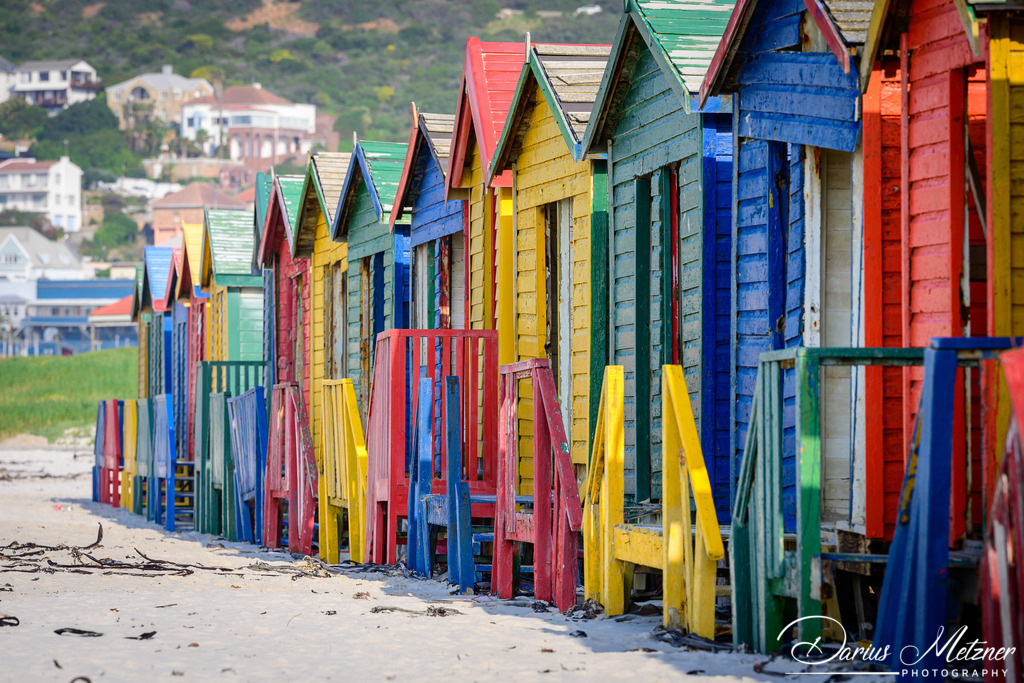 _DSC6572 | Fotografien, Fotos und Bilder aus Mainz, Frankfurt, Wiesbaden und anderen Orten auf der Welt - Fotografiert von Darius Metzner