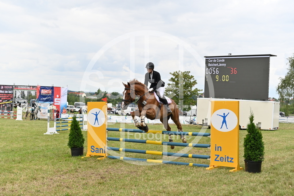 DSC_3481 | sattelsport - Realisiert mit Pictrs.com