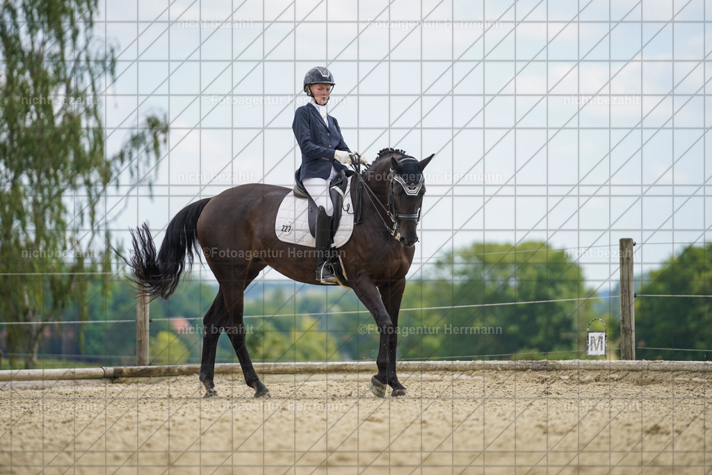 20230826-FAH05860 | Forstinning, 2023, Dressurturnier, Turniersportbilder, Turnierfotografen Bayern, Fotoagentur Herrmann, Reitsportfotografie, Turnierbilder