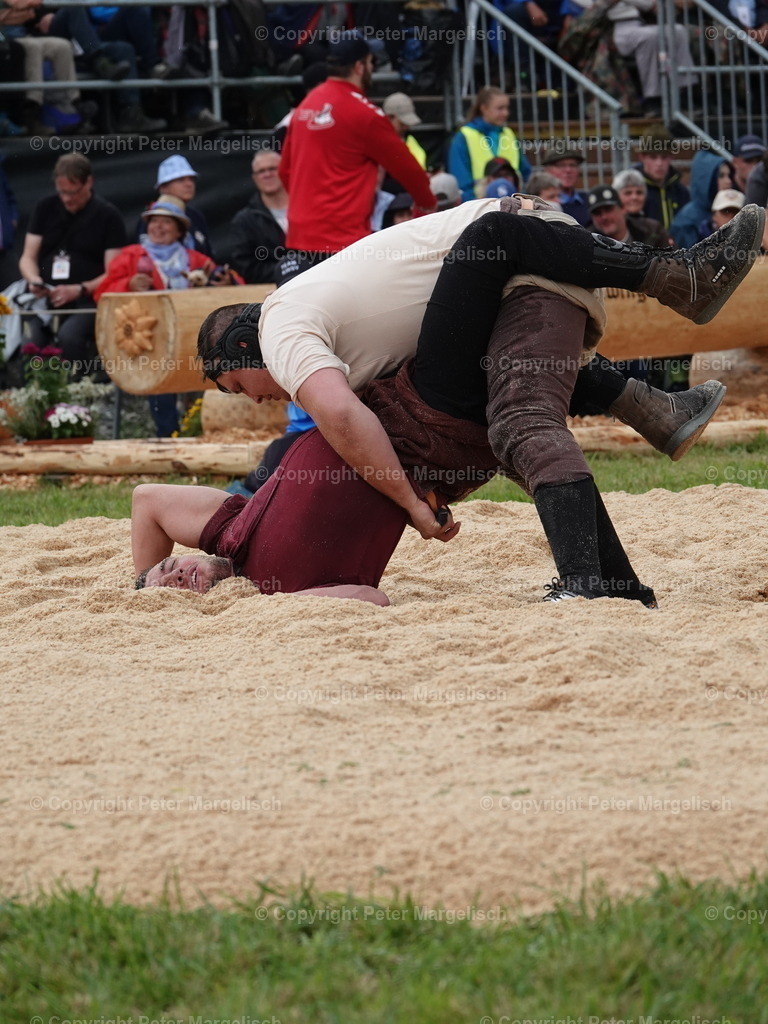 DSC05378 | Schwingen - Realisiert mit Pictrs.com