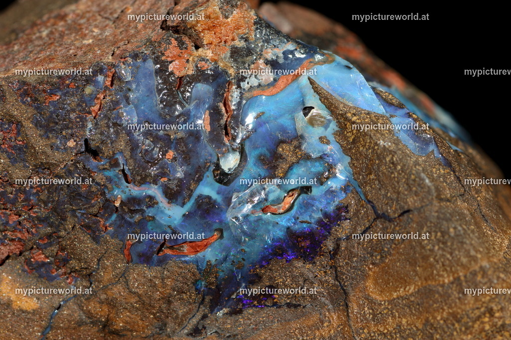 Opal-003 | Das Bilderarchiv über Tiere, Planzen und Landschaften. In der Bilddatenbank finden Sie ein große Auswahl an hochwertigen Bilder für Ihre Werbung - Realisiert mit Pictrs.com