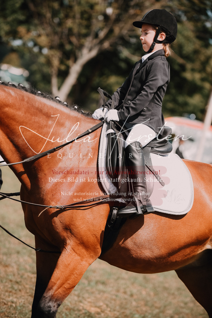 DSC_6154 | Pferde- und Turnierfotografie in Westsachsen. Pferdeportraits, Auftragszeichnungen und intuitive Kunst.