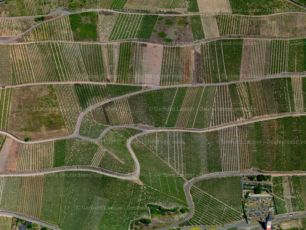 3114435 | Weinberge bei Merl an der Mosel