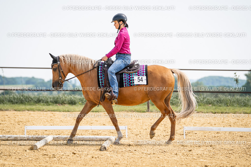 DSC00294 | Pferdegrafie