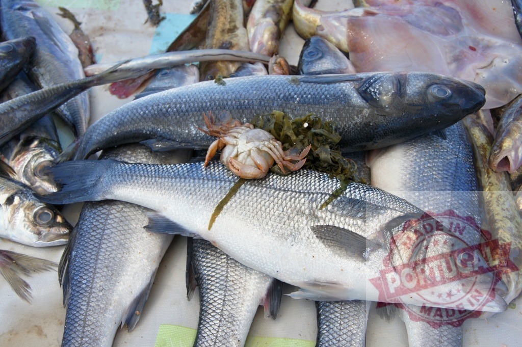 Fresh seafood with raw sea bass and crab | Freshly caught fish and crab on display at a market - Realized with Pictrs.com
