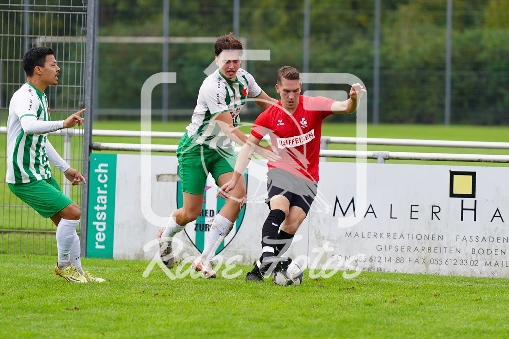 SON04742 | rabefotos