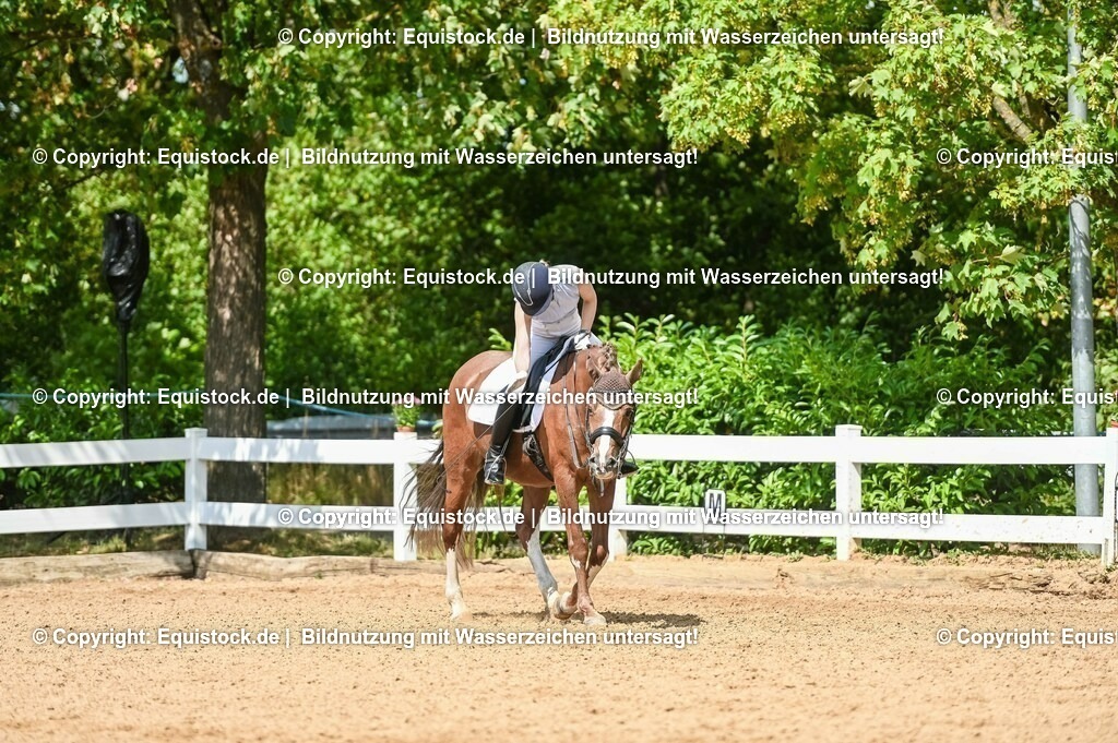 20230716_01_Dressurprüfung Kl.M_0270 | equistock