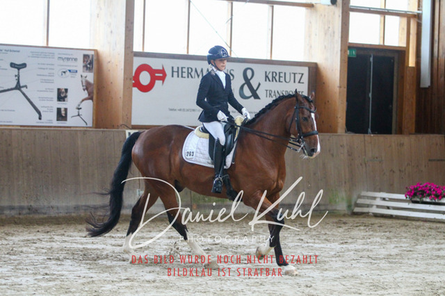 DKP44742 | Turniersportfotografie; Pferdefotografie; Dressurfotografie