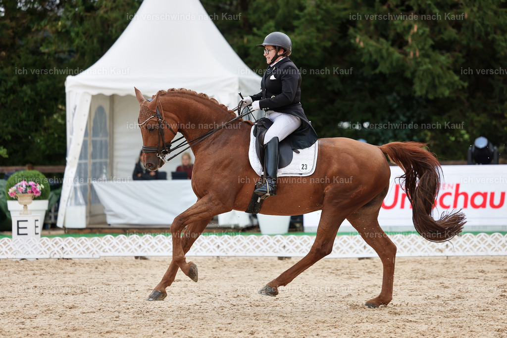 07-023-DRESSUR  S___  -StoibPH-5046 | working equitationturnier fotograf videograf stoibphotography marixx film working equitation deutschland reitsport turnierfotografie eventfotografie equestrian events
