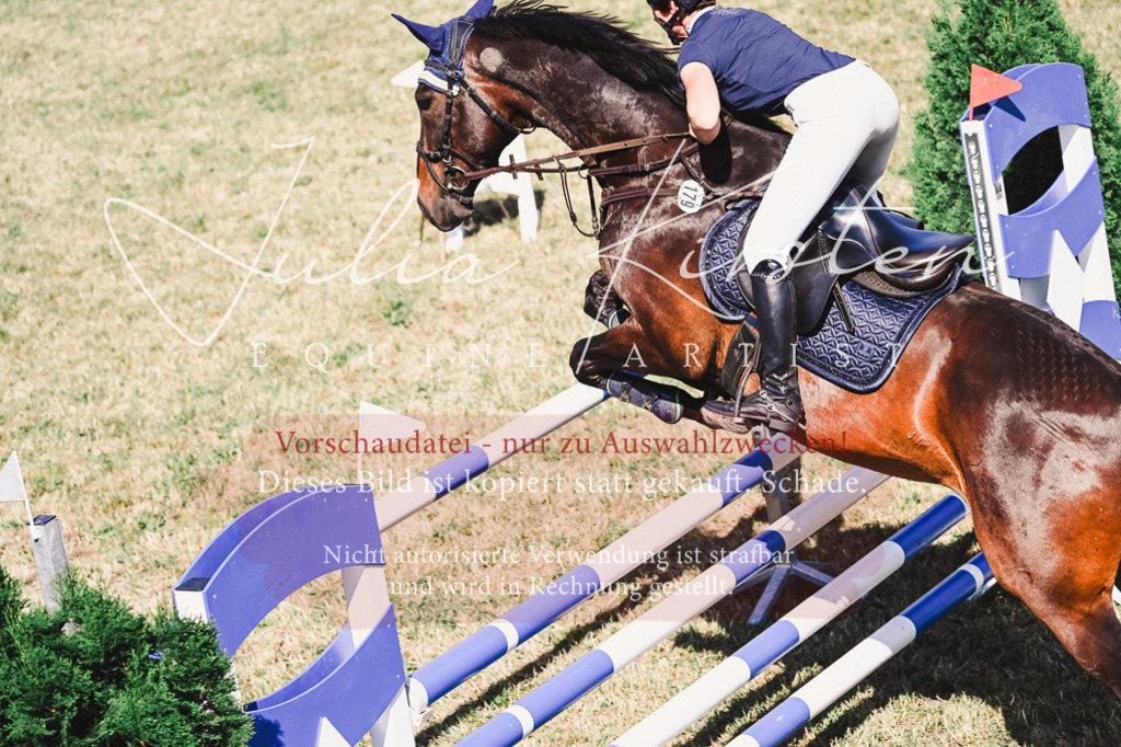 DSC_1833 | Pferde- und Turnierfotografie in Westsachsen. Pferdeportraits, Auftragszeichnungen und intuitive Kunst.
